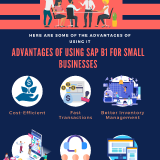 1.2-Advantages-of-Using-SAP-B1-for-Small-Businesses