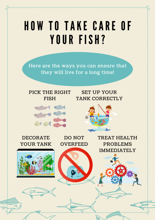 1.2-How-to-Take-Care-of-Your-Fish.png