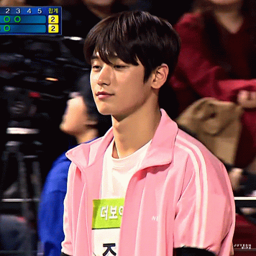 190206-1.gif