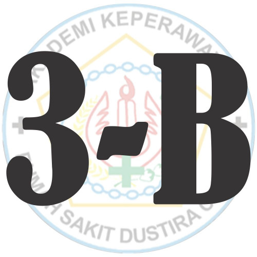 3 b