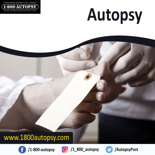 Autopsy-4.jpg