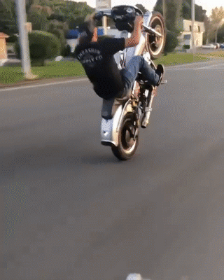 Biker-of-the-day.gif