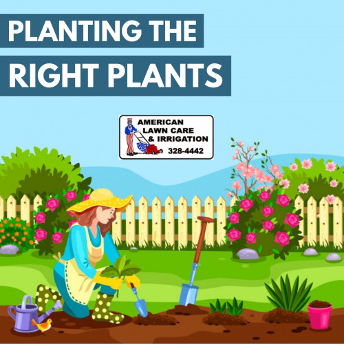 Budget-Friendly-Landscaping-Services.jpg