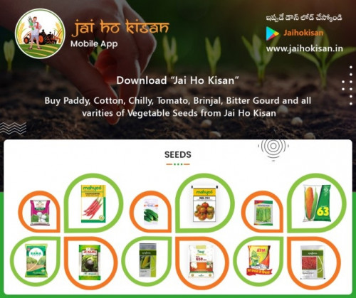 Buy-Seeds-Online-India---Seeds-Store-Near-Me---Jai-Ho-Kisan.jpg