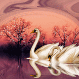 CIGNI-b0a82e8