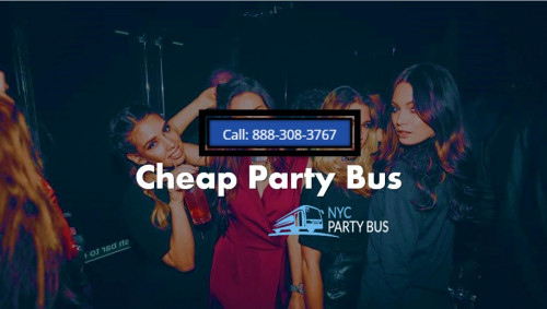 Cheap-Party-Bus55b623924119324a.jpg