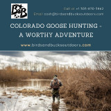 Colorado-Goose-Hunting---A-Worthy-Adventure