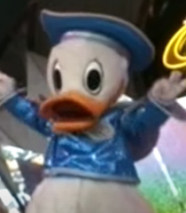 Donald-Duck.jpg