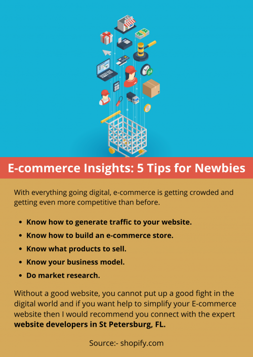 E-commerce-Insights-5-Tips-for-Newbies.png