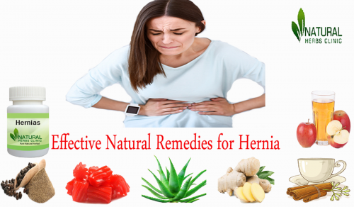 Aloe Vera is soothing and anti – inflammatory agent which is often recommended as a Natural Remedies for Hernia for people who struggle with the pain caused by hernia... https://herbsnaturalclinic.wordpress.com/2021/05/20/effective-natural-remedies-for-hernia/