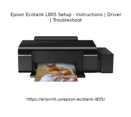 Epson-Ecotank-L805-Setup-Instructions.png