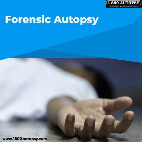 Forensic-Autopsy5.jpg