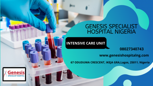 If you are facing a medical emergency then Genesis Specialist Hospital is offering efficient and quick emergency care in Lagos. Our staff provides exceptional and compassionate care to our patients. https://genesishospitalng.com/departments/emergency-medicine/