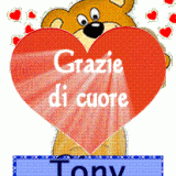 GRAZIE-ORSO