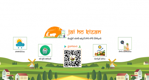 Get-Free-Crop-Advisory-Daily-Market-Rates-at-Jai-Ho-Kisan-App.png