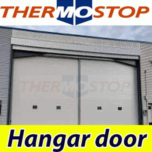 Hangar door