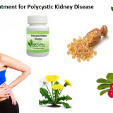 Herbal-Treatment-for-Polycystic-Kidney-Disease