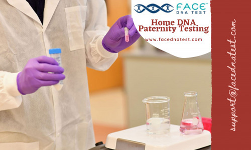 Home-DNA-Paternity-Testing.jpg