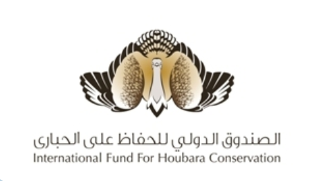 Houbara1.png