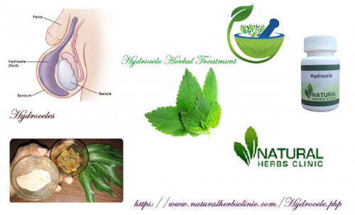 Herbal Treatment for Hydrocele is a standout between the herbal resolutions available to Hydrocele Herbal Treatment. There is dissimilar recovery options open to hydrocele has wound up being helpful amongst all the accessible ones.... https://treatmentofhydrocele.blogspot.com/2015/08/all-in-this-article-about-hydrocel-and.html