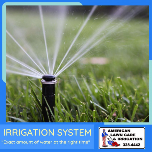 Irrigation_System.jpg