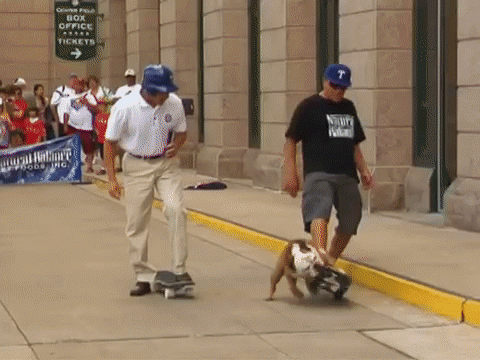 Jim Knox skateboard bulldog