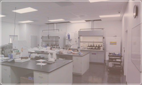 Are looking for laboratory furniture? then you can consider OMNI Lab Solutions that provides a total mass spec lab solution including lab benches, pump enclosure,  lab cabinets, and pc mounts to form a Lab Workstation. Our laboratory benches are designed as well as manufactured in such a way that they make your lab environment quitter, specious, more elastic as well as effortlessly accessible. For any information please contact us at 1-800-579-1981. To know more details visit our site: https://www.omnilabsolutions.com/lab-tables-benches