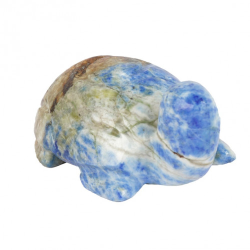 Lapis Lazuli Tortoise1