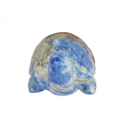 Lapis-Lazuli-Tortoise3.jpg