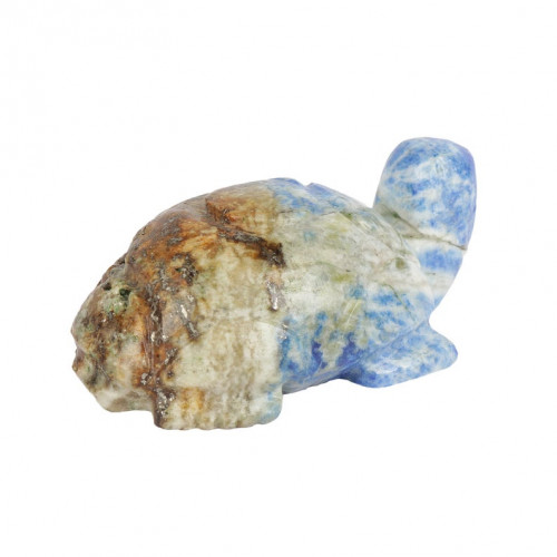 Lapis Lazuli Tortoise4