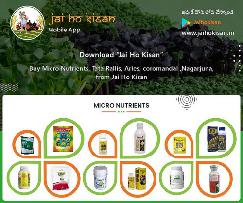 Micronutrient-Fertilizers-Products---Buy-Online-Micronutrients---Jai-Ho-Kisan.jpg