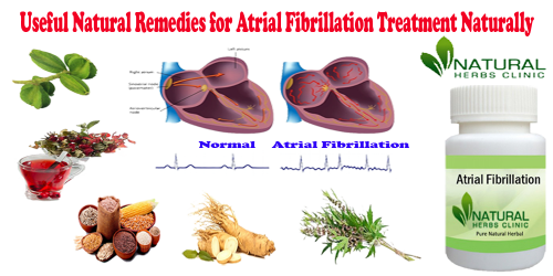 Ginseng improves the flow of the heart and also it is an effective heart tonic too. This natural herb is renowned as one of the helpful Natural Remedies for Atrial Fibrillation and many other health and wellness problems in traditional Chinese medicine... https://www.naturalherbsclinic.com/blog/useful-natural-remedies-for-atrial-fibrillation/