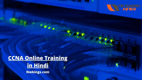 Network-Kings--CCNA-Online-Training-in-Hindi.jpg