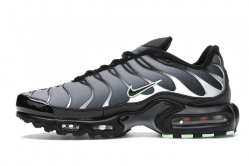 Nike-air-max-tn5162d60c8929e260.png