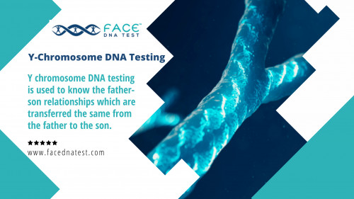 Office-DNA-Test-Texas.jpg