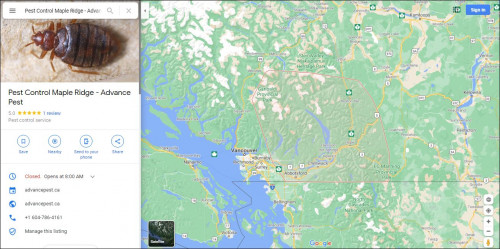 Pest-Control-Maple-Ridge---Advance-Pest.jpg