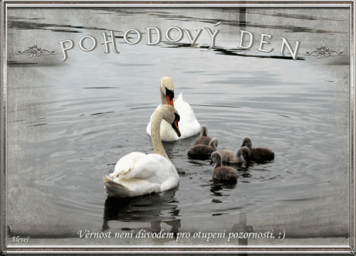 Pohodovy-den0da1601d6ece42f6.gif