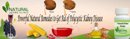 Grape Stum is another one of the most reliable Natural Remedies for Polycystic Kidney Disease. Scientists have familiar with the marvelous diuretic properties of completely ripped grapes, no matter their variety and color... https://www.naturalherbsclinic.com/blog/powerful-natural-remedies-for-polycystic-kidney-disease/