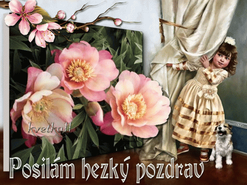 Posilam-hezky-pozdrav.gif