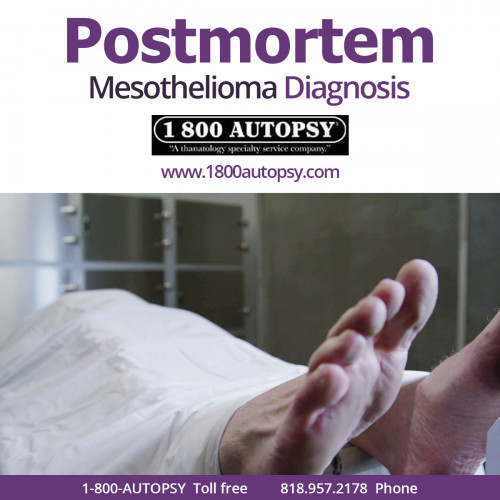 Postmortem-Mesothelioma-Diagnosis.jpg