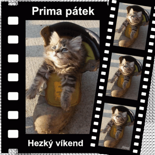 Prima-patek-hezky-vikend38676e23e24a6030.gif