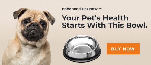 The Enhanced Pet Bowl is uniquely designed for flat-faced dogs and cats to resolve their short and long-term health. Reduce digestion problems, gas. vomiting, and mess. Our bowl's patented ridge has helped tens of thousands of happy pets. Buy yours today to ensure your dog or cat lives a happier and healthier lifestyle.

https://enhancedpetproducts.com/

Bill Harris, a proud owner of 2 French Bulldogs, Lacey and Eva, is an avid pet lover and active philanthropist towards pet worthy causes of all kinds. Bill would always notice that his poor fur babies would struggle every time they would eat. So one day he thought up a solution, put a clay model together and used it to feed his babies, and all the issues they had with their meal had disappeared. He went out to apply for the patent, had some 3D models put together, and shortly after the Enhanced Pet BowlTM was born.

#enhancedpetproducts #DogBowl #CatBowl #DogFeedingBowl #CatFeedingBowl #petbowl #Improvedogdigestion #Reducedogfarts #Reducepetgas #Improvepetgas #Mydogsfartsstink #Reducemydogsairintake #Frenchbulldogbowl #Englishbulldogbowl #Pugbowl