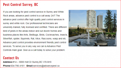 Rat-control-surrey.png