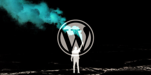 Reasons-Why-Everyone-Love-WordPress-for-Website-Development.jpg