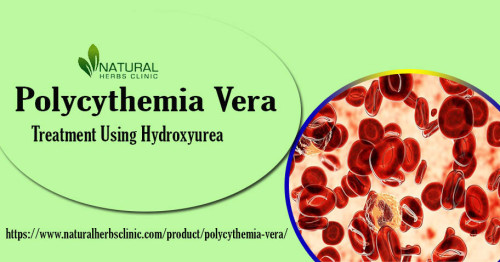 Hydroxyurea for Polycythemia Vera works by reducing the production of red cells in the bone marrow, thus reducing the risk of clotting. https://www.naturalherbsclinic.com/blog/navigating-the-use-of-hydroxyurea-for-polycythemia-vera-recovery/
