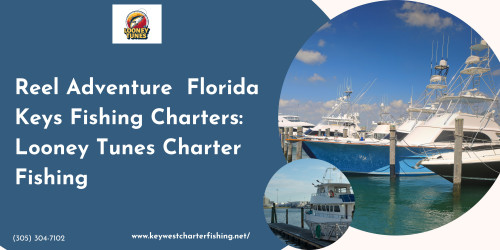 Explore the wonders of Florida Keys Fishing Charters. Dive into the pristine waters of the Florida Keys, hook trophy fish, and create lasting memories. Ideal for anglers of all levels. Book your fishing charter now for an unforgettable day in this angler's paradise. For more information, you can visit our website https://keywestcharterfishing.net.