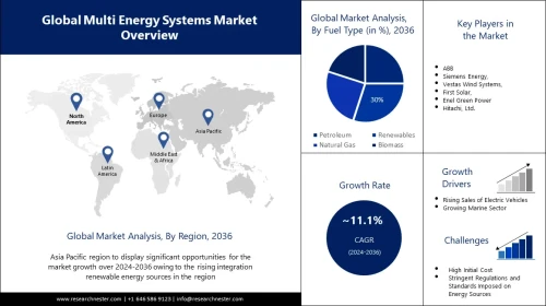 Multi Energy Systems Market
