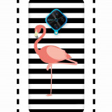 SKIN_0032_430-flamingo.psdc69526dbee9bd45c