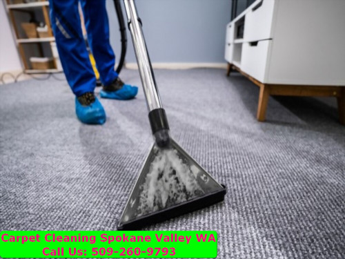 Spokane-Carpet-Cleaning-010.jpg