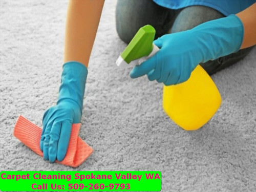 Spokane-Carpet-Cleaning-067.jpg